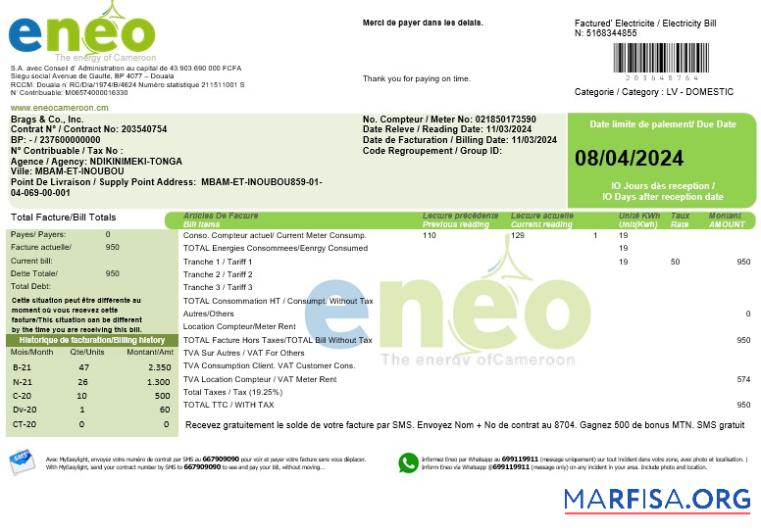 Downloadable Cameroon ENEO electricity business utility bill template in Word
